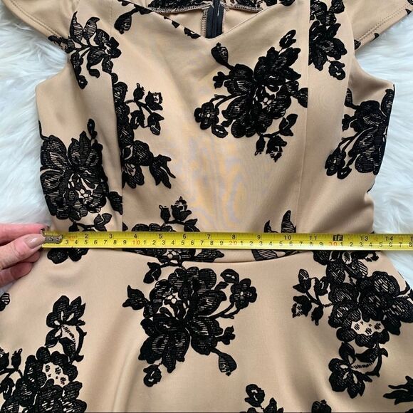 FE Forever Nude and Black Velvet Floral Dress NWT - Picture 10 of 16
